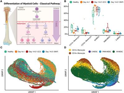 The post-septic peripheral myeloid compartment reveals unexpected diversity in myeloid-derived suppressor cells